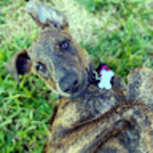 Meet your Posher, Jenn